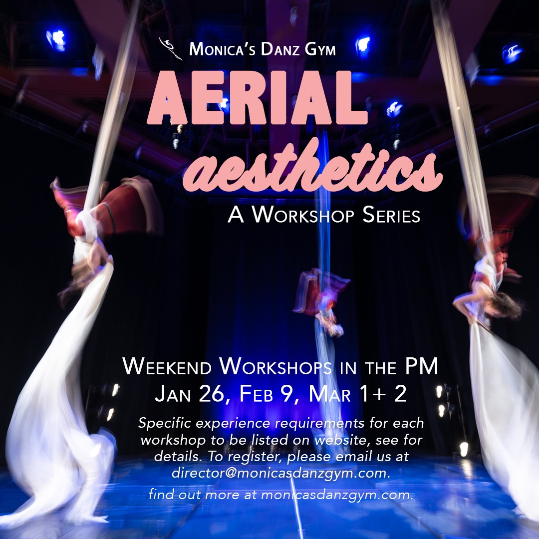 Aerial Aesthetics weekend workshops poster